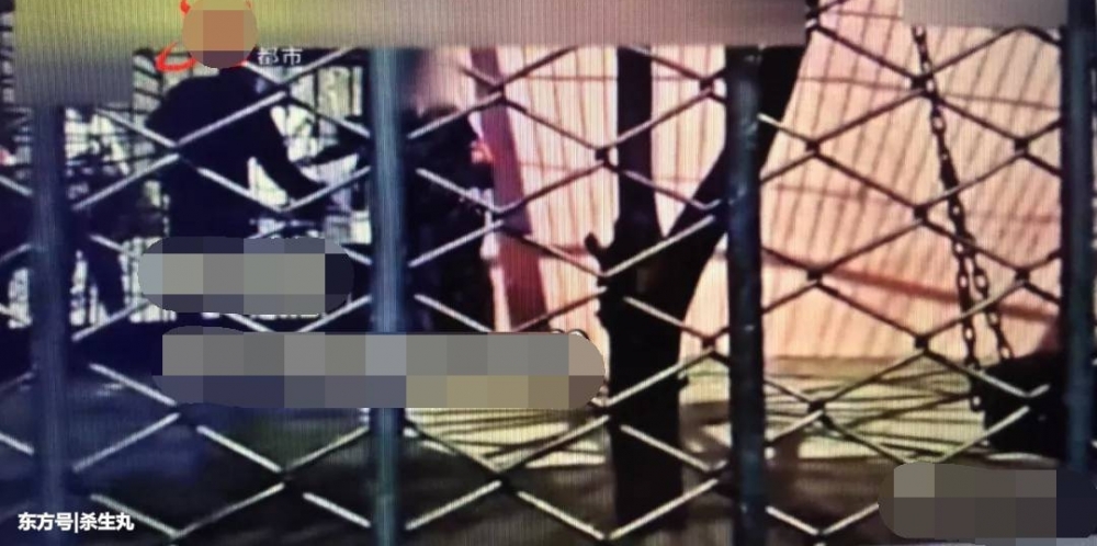 带孩子进笼与熊合影被疑享特权 园方:是员工