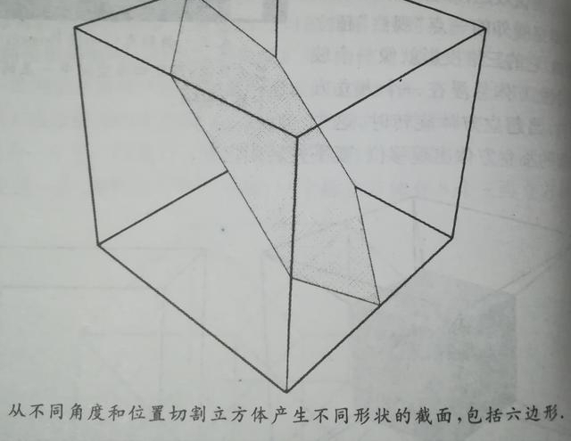 ���ε��赸�������ʿ�ѧ��Ӱ��һ�Ƚ�