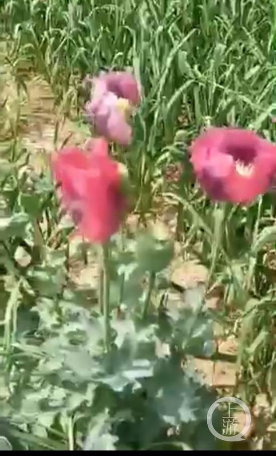 ���ϻ�������Ժ���ֶ�����ڻ� �ٷ�����ʱ������