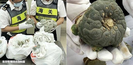 ���ں������顰���⡱�������뾳��:���»ã�