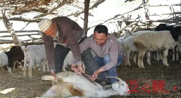 ���ûݾۡ����조�塤һ�����½��;���פ��ɲ��ú�ˮ��д�����Ͷ��޸裡