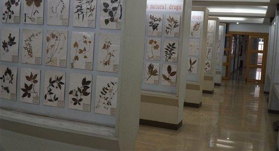 һ������С���붱ҽҩ�Ĳ���֮Ե