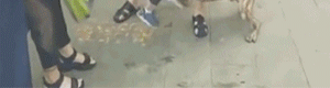 ����4��ͯ��˩�����е��ı���Ȯҧס�ȣ����˾�����ҽԺ����