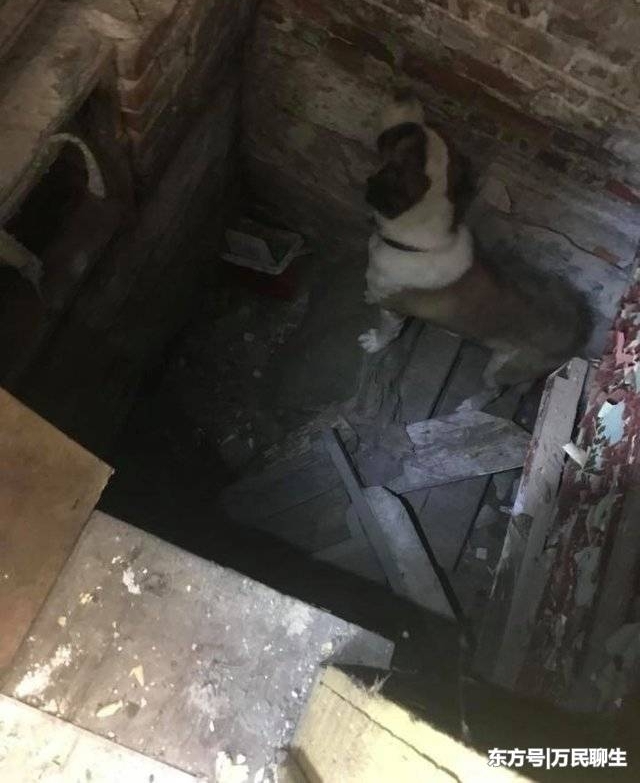 ������¥�ڳ���1���²��ϴ������������ھ�һ���Ż���