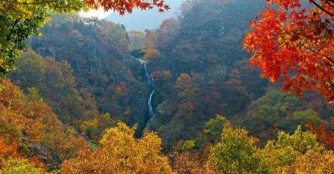 ���������ġ��������š�ʫ����ͣ�����