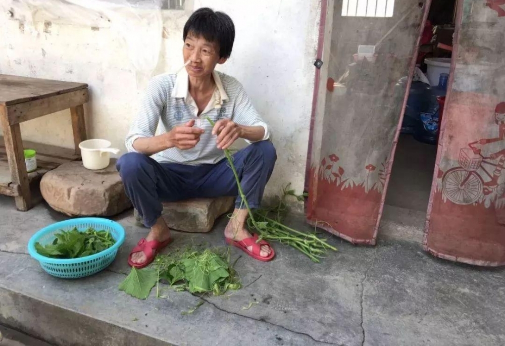 �˲�������1��ȫ����������ͥ�������Ǵ�����漣��ҽ�����е����⣡