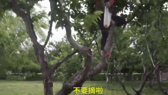 �������ã����ֽýݣ�������蹫԰�ڶ�������͵ժӣ��