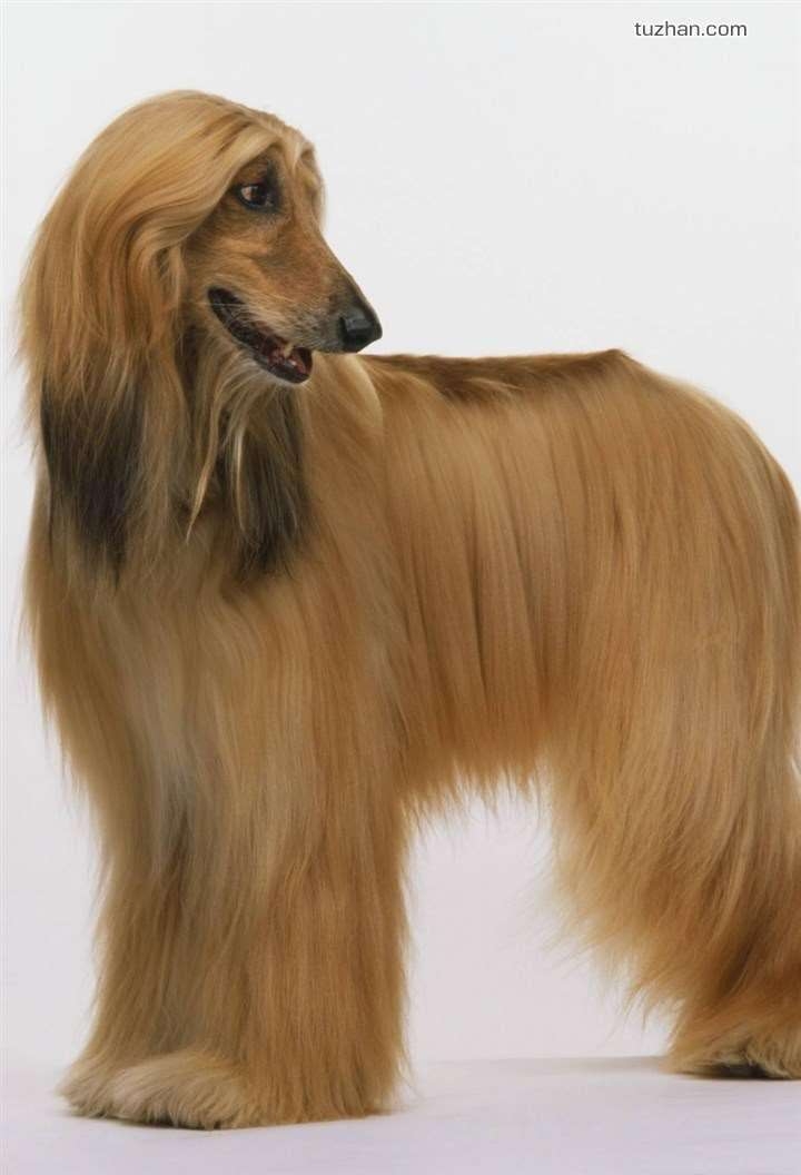 ȮͼƬ  ﹷͼƬ