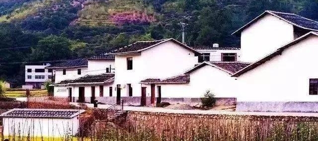 �����顿һλ�鶴΢�������ũ�塰�Ŀࡱ�������ģ���