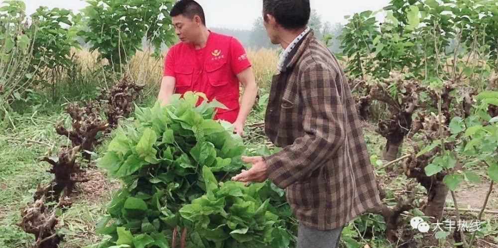 ���죬�����Ҷ�еġ��컨�����ж����㡢�ҡ�����