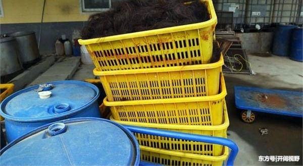 Сʱ���չ���ͷ������ȥ�Ķ��ˣ������ڻ��кö��˲�֪����
