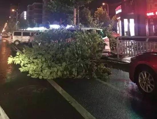 【1041新闻眼】高速上“飞”来轮胎!满脸血渣的河南司机,忍痛救下14人!
