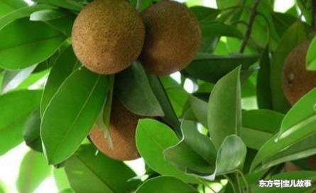 �⼸��������ӣ��Թ��ľ��������׵���Ǯ�ˣ���Թ��ļ��֣�