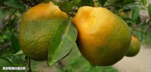 �����ܽ��ũҵ�ϵ����������⣬�п��ܱ�������Ǯ�����Ǻ����㣡