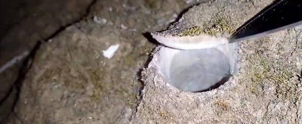 男子撬开地下一个酒瓶盖,打开后却发现剧毒生物