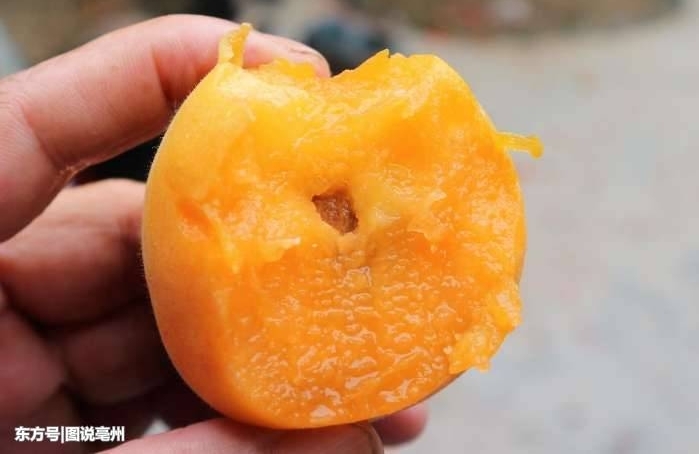 ũ��������������5��Ԫ���������������Ǯ�����ڼ��ſ���Ǯ