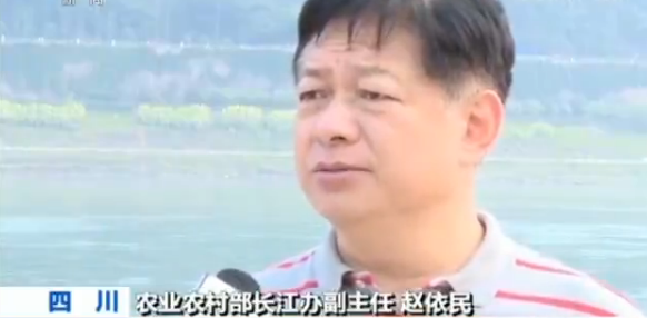 农业农村部拯救长江鲟行动计划启动
