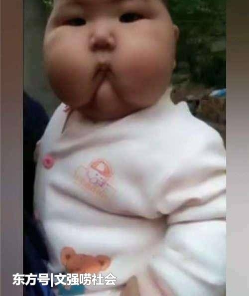 �Ѷ������������չ�, 3���º��ټ�������, ���豧Թ��ͣ��