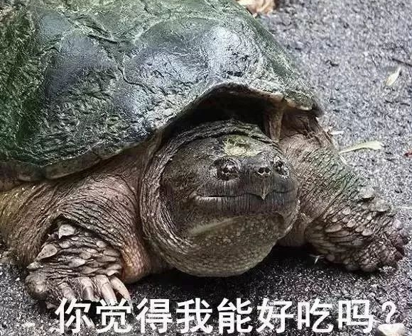 ���ӵ���16�������޲�֪���� ר��һ��:������ˣ�