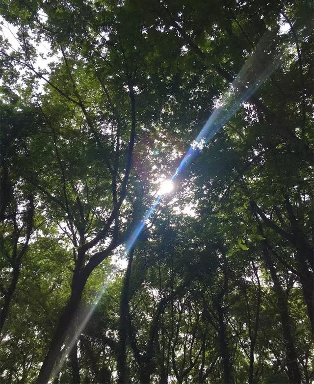 山水故事|西溪南:诗给你,爱也给你