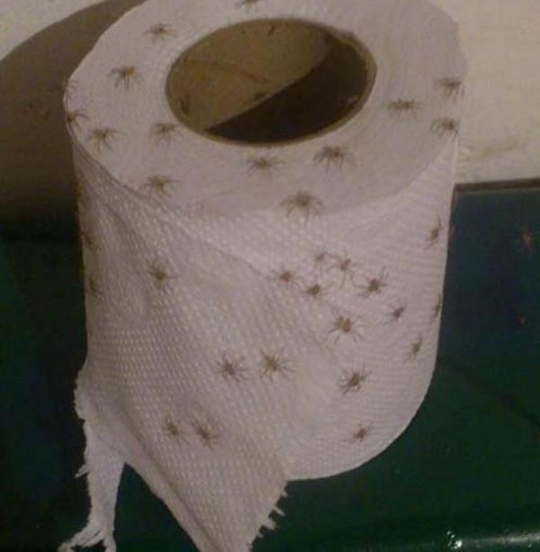 ����ѩ������ʲô���������е����