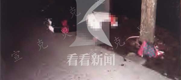 女司机无证驾驶撞死人 2年后获驾照再撞死人