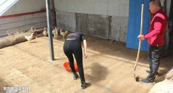 �ͼ��� ����ƶ--ľ�ݷ�Ժ������Ƕ����°���������������¸�