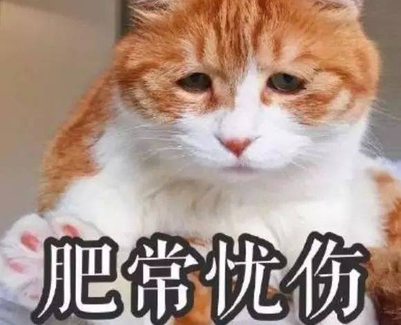 ��һ����ء����¾����������ķ羰�ߣ�