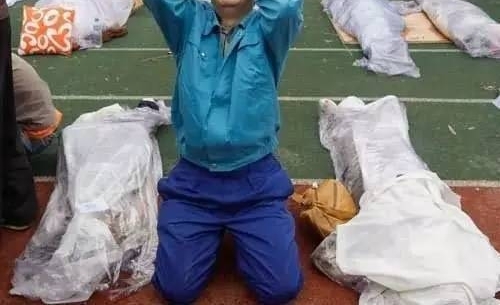 �봨�����ʮ����,��100�Ÿ����ֳ�ͼƬ!