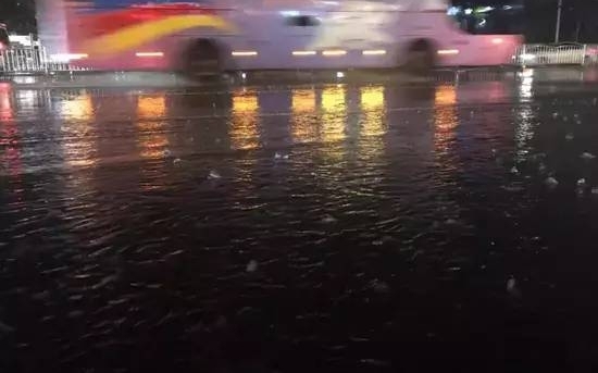【1041新闻眼】高速上“飞”来轮胎!满脸血渣的河南司机,忍痛救下14人!