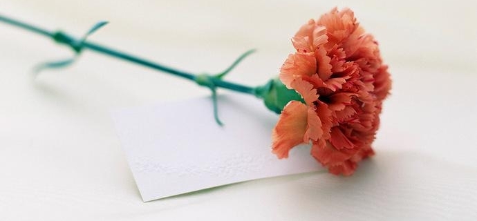 �侯սʿ��ʧ������������ĸ����Ե����������������ж���