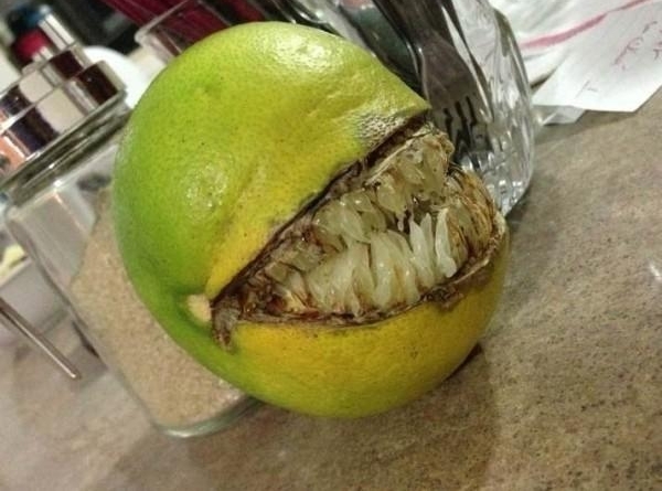 ����ѩ������ʲô���������е����