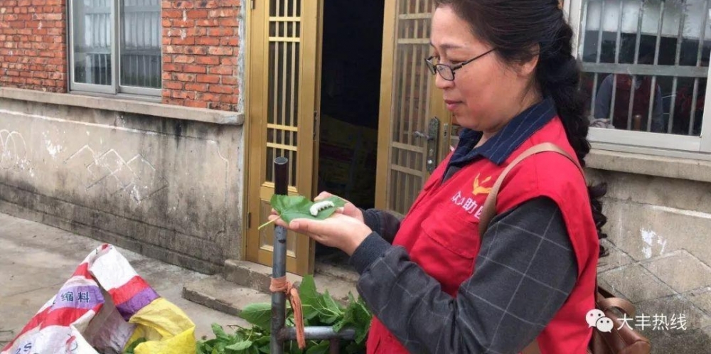 ���죬�����Ҷ�еġ��컨�����ж����㡢�ҡ�����