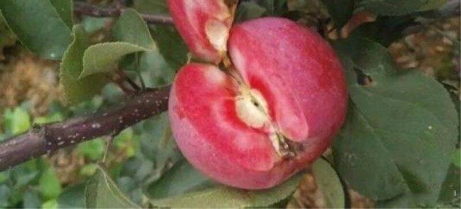 ũ����ֲ����ʿ�����������չ�5Ԫһ�4Ķ׬��16��