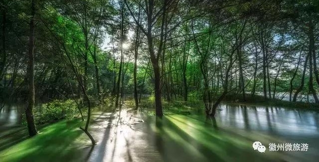 山水故事|西溪南:诗给你,爱也给你