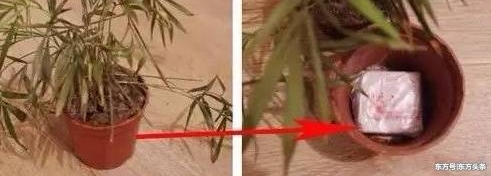 ����רȨ�Ʒ��Ϲ������š�����ط���������·��˽��Ǯ