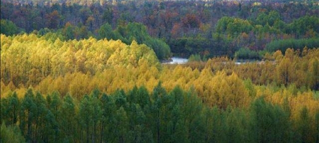 �й�γ����ߵ��أ����������ǽ������ļ�ֻ�а����