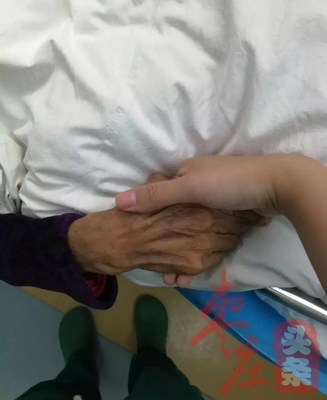 ��ׯ����������λ�����һ���������ϴ������Ѹ�ٳ�Ϊ��������