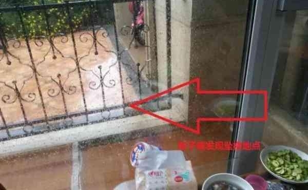ʹ�ģ��������磬�㽭5��Ůͯ��11¥����׹������