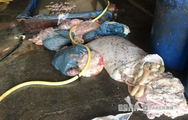 ����籡��������ɳһ��Υ���ӹ����ӣ�����������Ĳ���