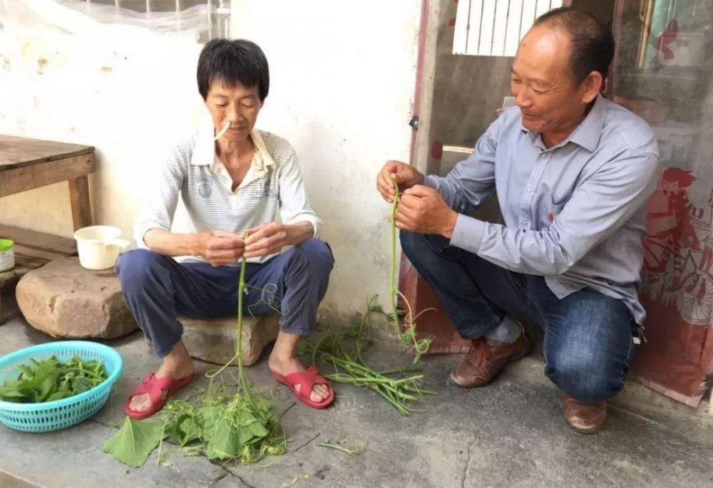 �˲�������1��ȫ����������ͥ�������Ǵ�����漣��ҽ�����е����⣡