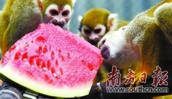 ʱڣ