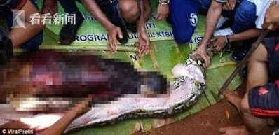 ӡȸŮҹ  ֱֱʵֲӰ