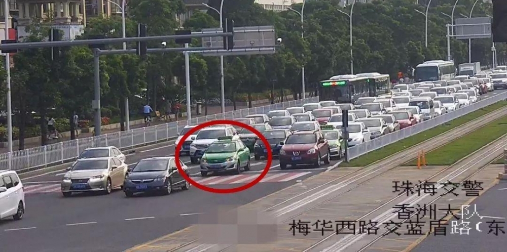 昨天大埔一条大蟒蛇吃了三只鸡,洲瑞隔壁的蟒蛇准备吃羊…