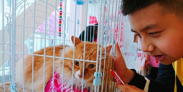�й����ȳ辭�á����� ר�Һ�����ǿ�淶����