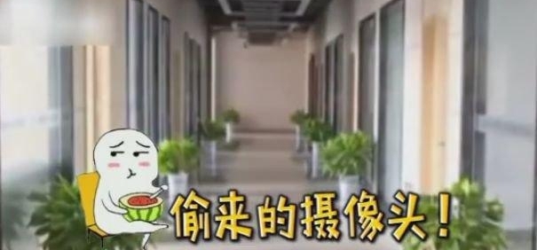 一家人隐私被直播半个月后,屋主却被警察带走