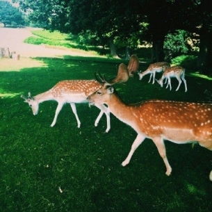 ɭµС¹