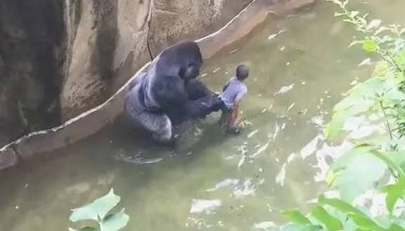 Ů����С��׹�����ɳ��У���������������������˱�����ϲ