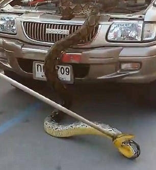 ̩������������������ڷ���һ����������3.7�ף���60��