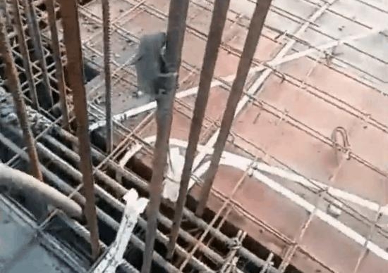 ���ӹ����Ϸ��ָֽ�ſ�Ų�������, ϸ������Ͻ����ӵ�¥��